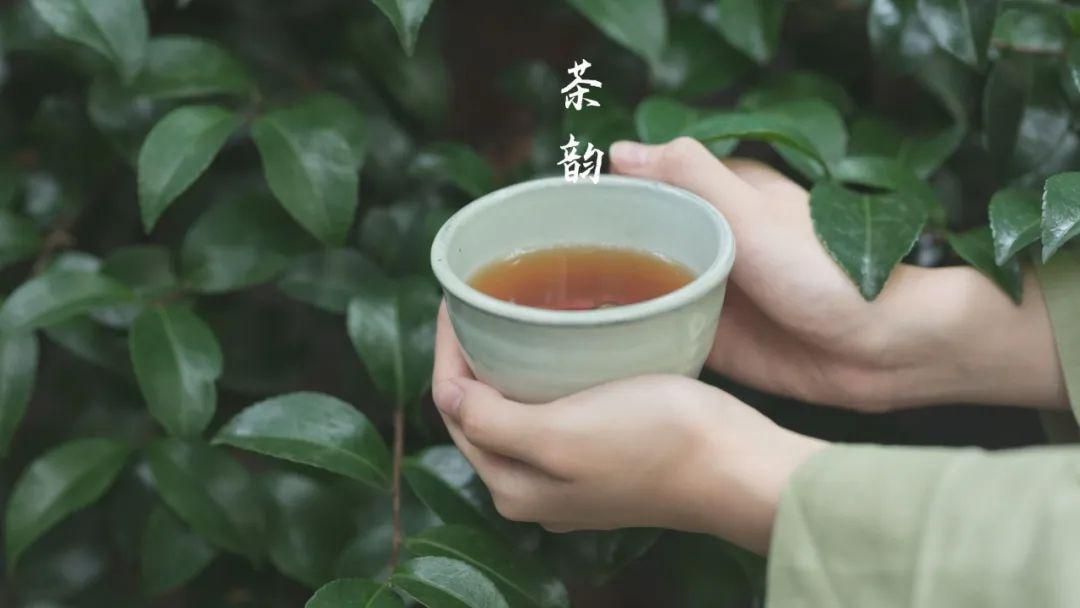 富硒茶大山茶叶（茶叶大山茶富硒含量多少）-硒宝网