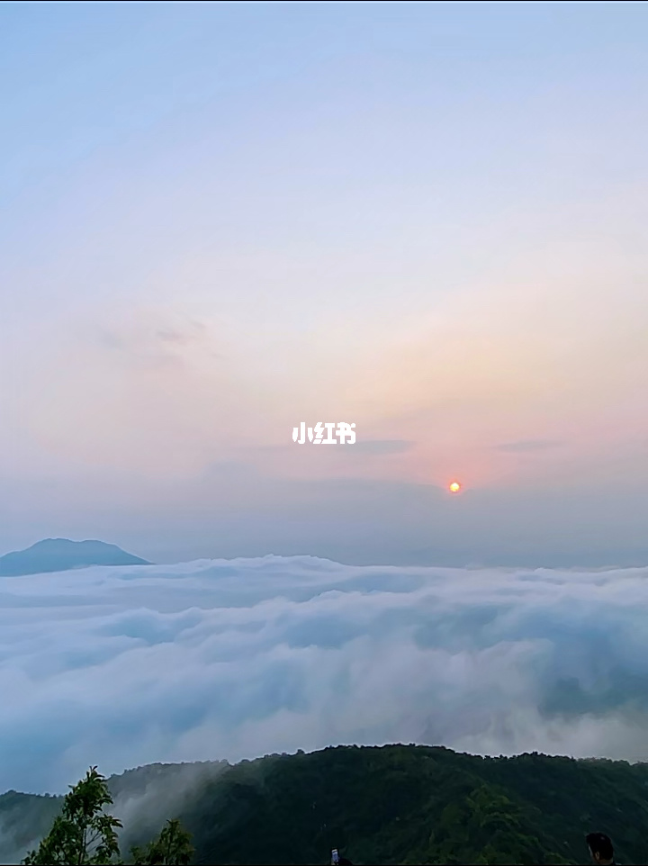 陆问感恩富硒茶（感恩茶会）-硒宝网