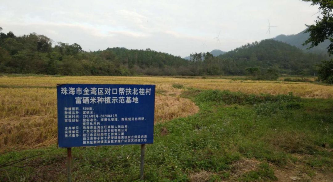 安徽有富硒茶吗（安徽富硒茶产地）-硒宝网