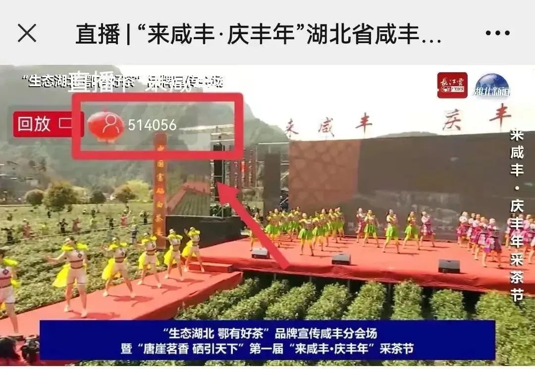 富硒茶专题报告（富硒茶产业国内现状）-硒宝网