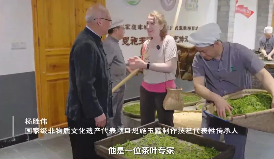 富硒茶专题报告（富硒茶产业国内现状）-硒宝网