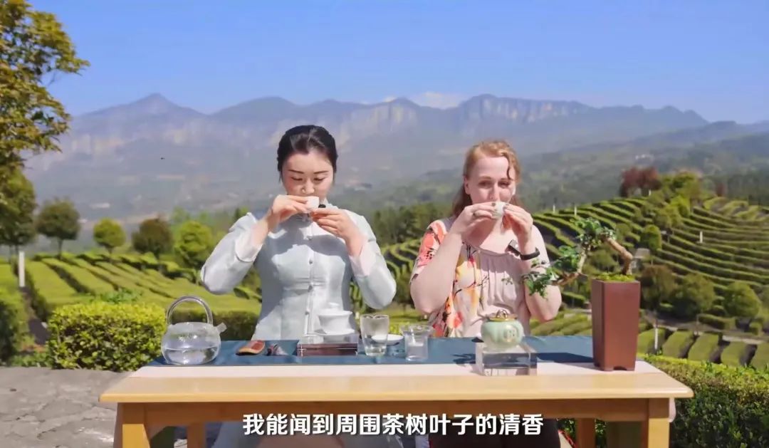 富硒茶专题报告（富硒茶产业国内现状）-硒宝网