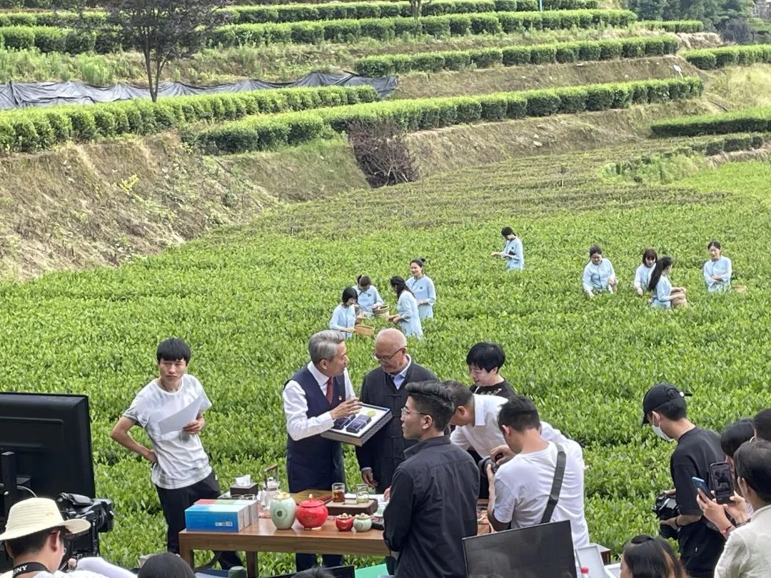 富硒茶专题报告（富硒茶产业国内现状）-硒宝网