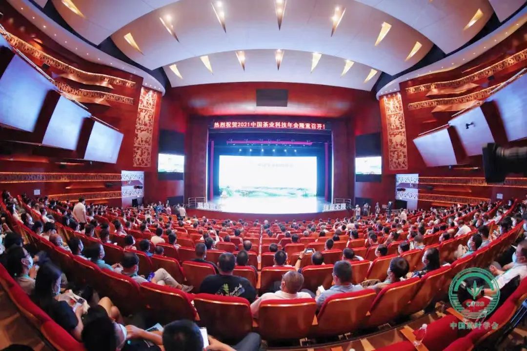 富硒茶专题报告（富硒茶产业国内现状）-硒宝网