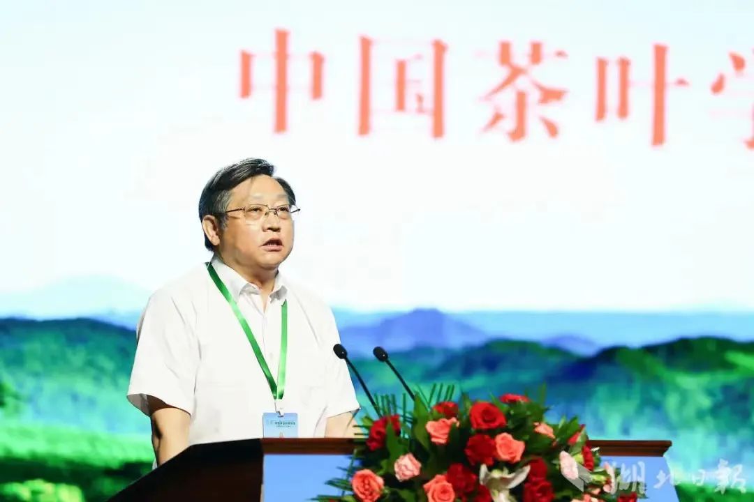 富硒茶专题报告（富硒茶产业国内现状）-硒宝网