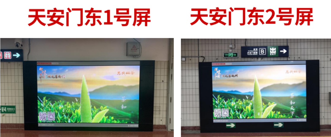 富硒茶专题报告（富硒茶产业国内现状）-硒宝网