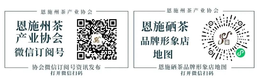 富硒茶专题报告（富硒茶产业国内现状）-硒宝网