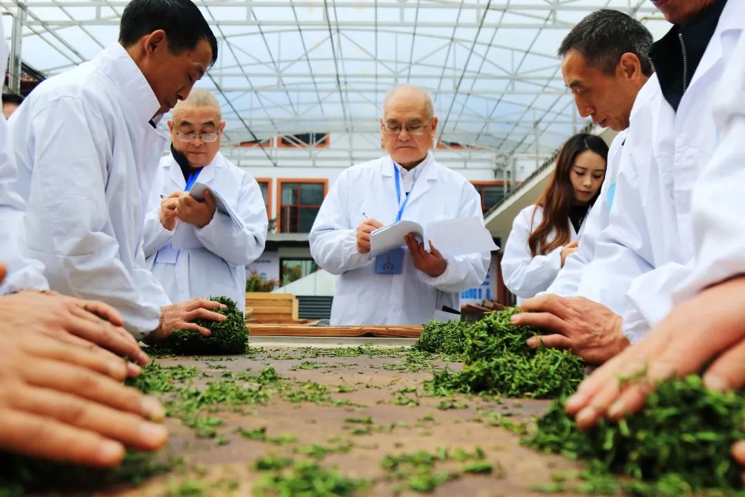 富硒茶专题报告（富硒茶产业国内现状）-硒宝网