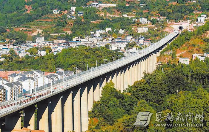 恩施萳芝富硒茶(恩施富硒茶)-硒宝网