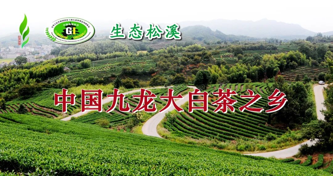 富硒茶专题报告（富硒茶文化）-硒宝网