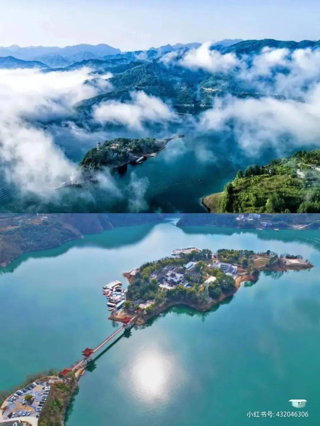 安康富硒茶翠峰（安康富硒茶是绿茶吗）-硒宝网