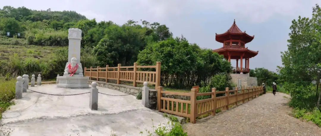 公田富硒生态茶（富硒茶观光园）-硒宝网