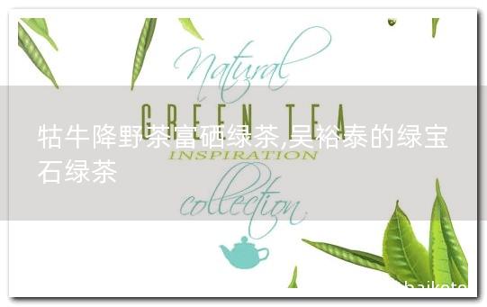 富硒野茶的介绍(富硒野茶的功效)-硒宝网