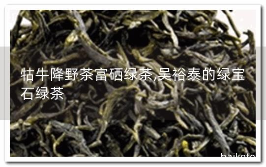 富硒野茶的介绍(富硒野茶的功效)-硒宝网
