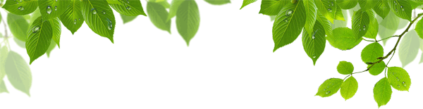 公田富硒生态茶（富硒茶走廊）-硒宝网