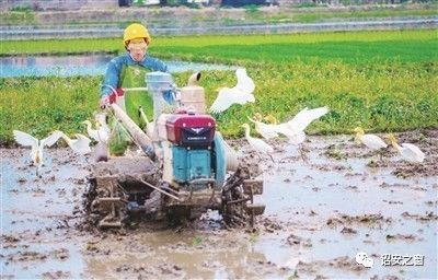 公田富硒生态茶（富硒茶走廊）-硒宝网