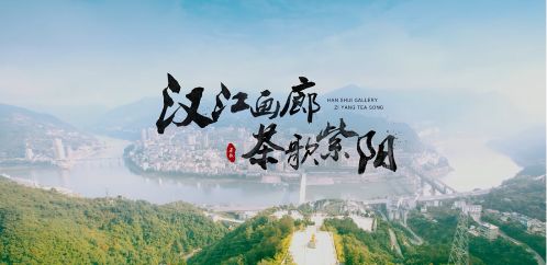 紫阳翠峰富硒茶(紫阳富硒茶文化)-硒宝网