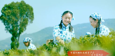 紫阳翠峰富硒茶(紫阳富硒茶文化)-硒宝网