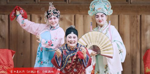 紫阳翠峰富硒茶(紫阳富硒茶文化)-硒宝网