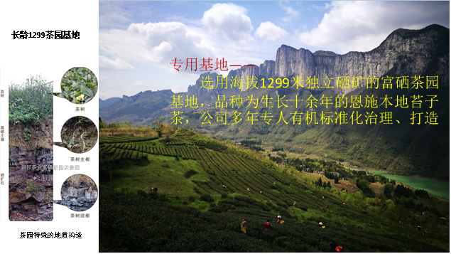 恩施润邦富硒茶(恩施富硒茶厂)-硒宝网