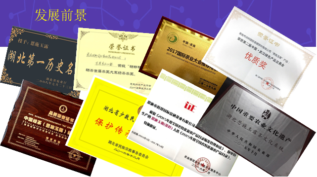 恩施润邦富硒茶(恩施富硒茶厂)-硒宝网