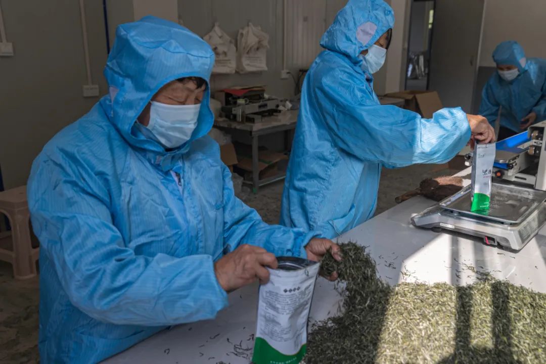 紫阳翠峰富硒茶（紫阳富硒茶园观光）-硒宝网