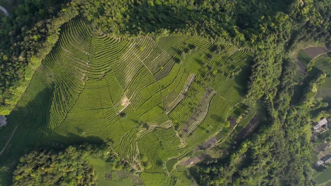 恩施润邦富硒茶(恩施州硒润环保)-硒宝网