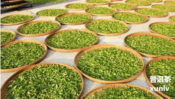 湖北恩富硒腾茶（湖北富硒茶是绿茶吗）-硒宝网