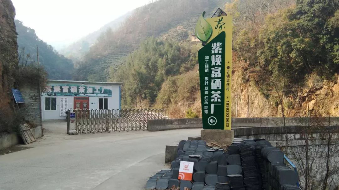 焕古镇牌富硒茶（紫阳富硒茶功效）-硒宝网