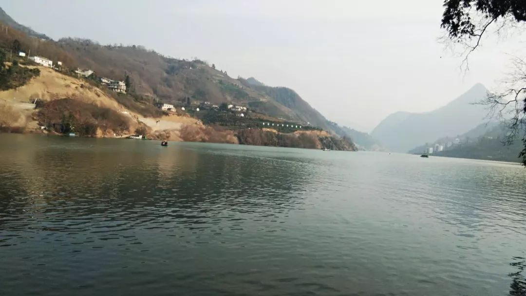 焕古镇牌富硒茶（紫阳富硒茶功效）-硒宝网