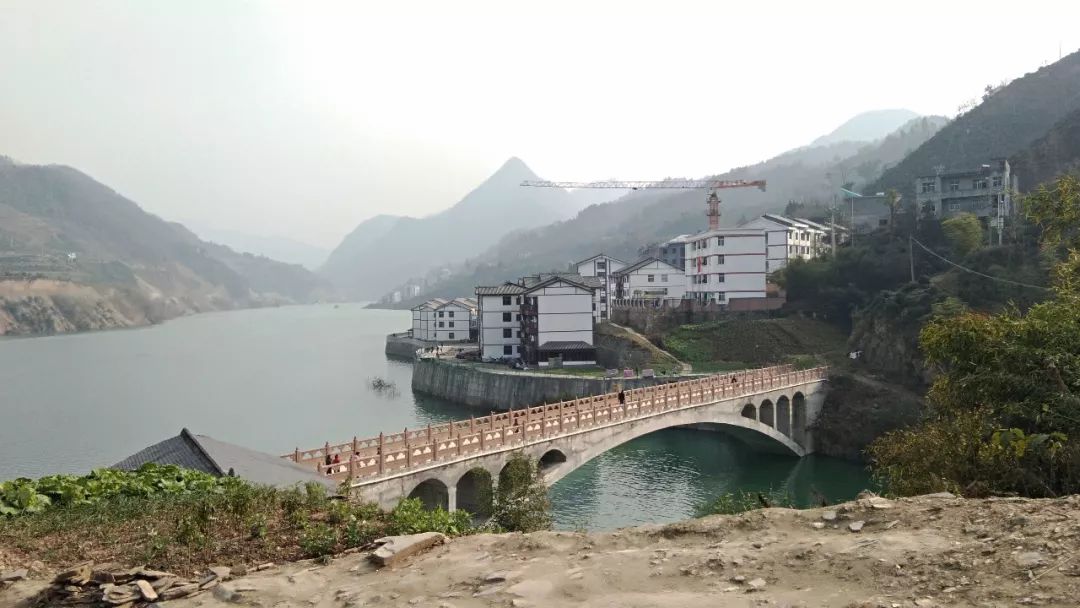 焕古镇牌富硒茶（紫阳富硒茶功效）-硒宝网