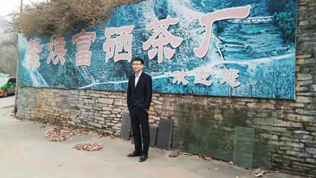 焕古镇牌富硒茶（紫阳富硒茶功效）-硒宝网