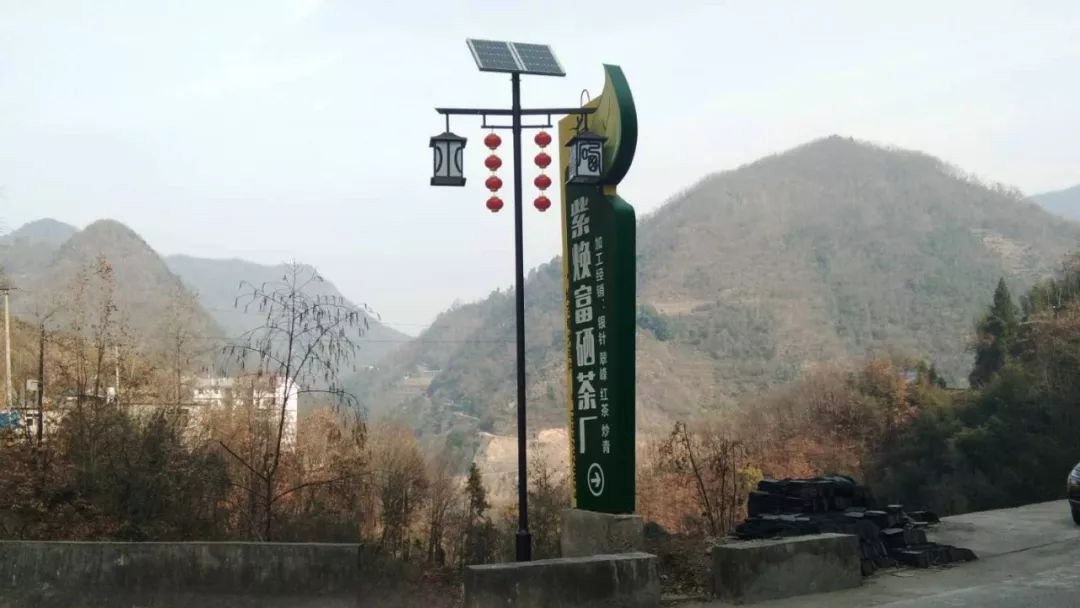 焕古镇牌富硒茶（紫阳富硒茶功效）-硒宝网