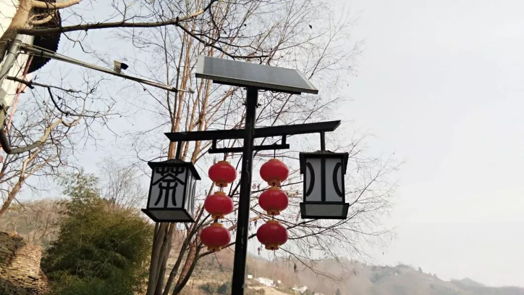 焕古镇牌富硒茶（紫阳富硒茶功效）-硒宝网