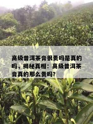 正宗马坡富硒茶(富硒茶走廊)-硒宝网