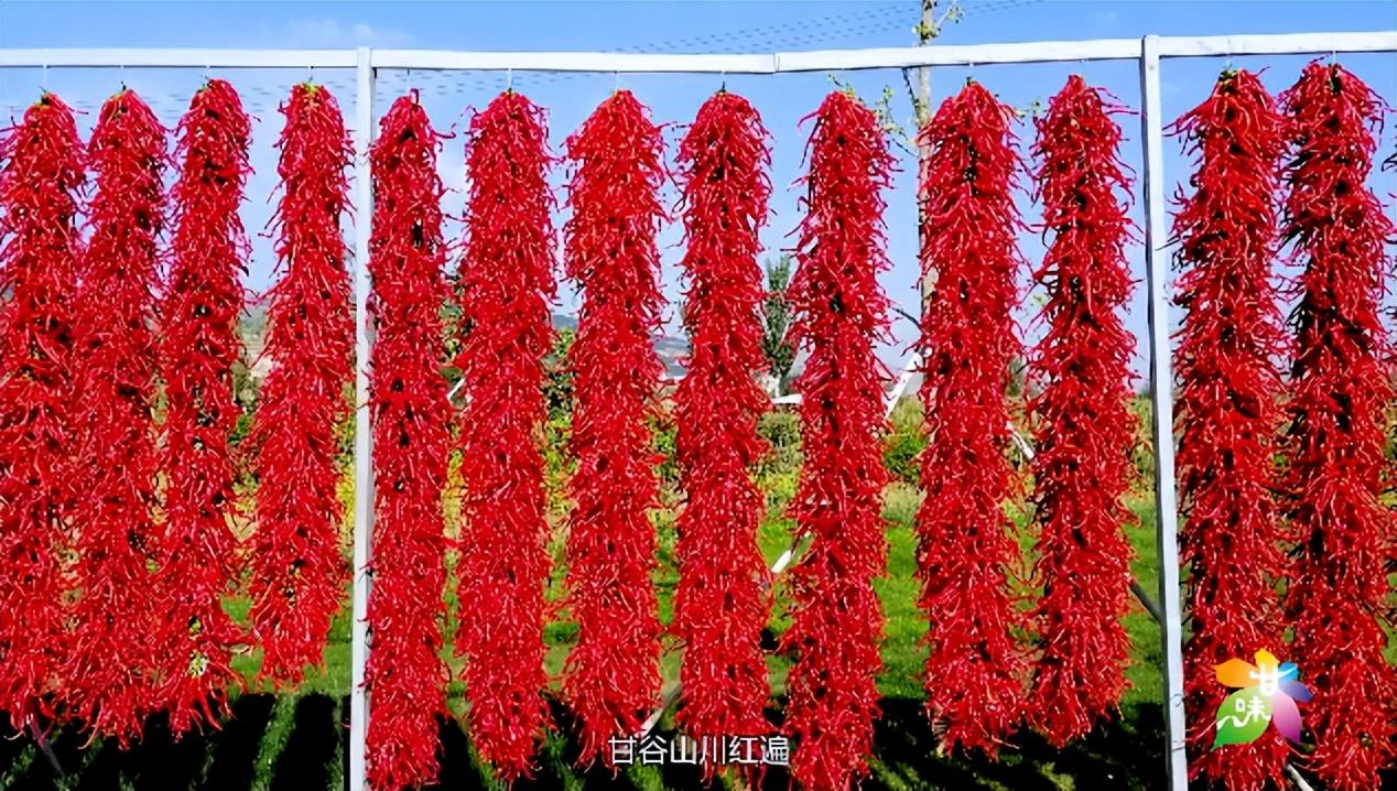 河北富硒大麦茶（优质大麦茶价格）-硒宝网