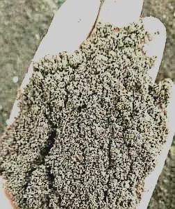 河北富硒大麦茶（河北大麦茶富硒产地）-硒宝网