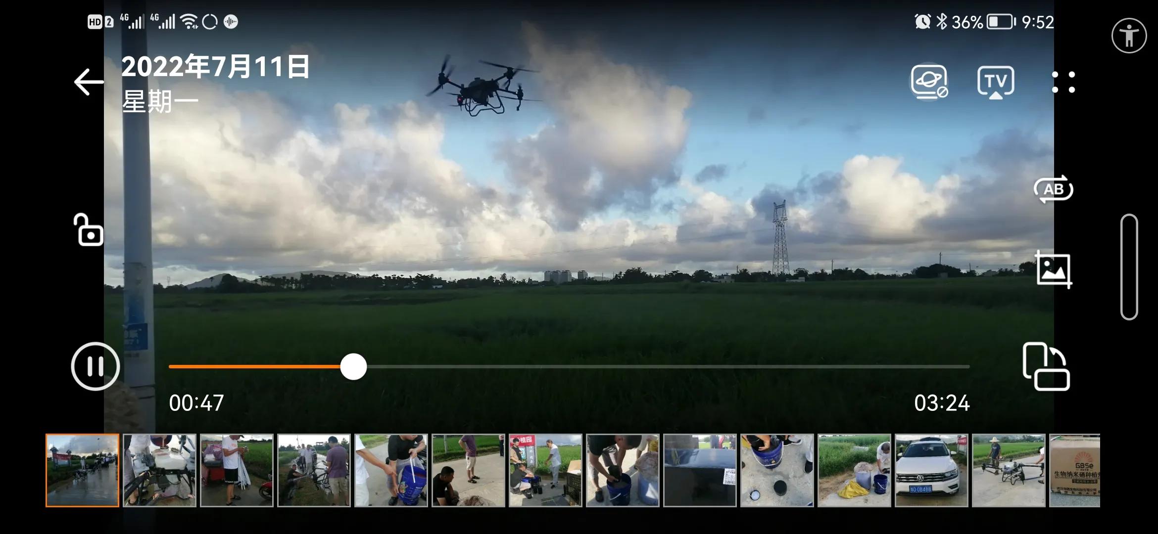 河北富硒大麦茶（河北大麦茶富硒产地）-硒宝网