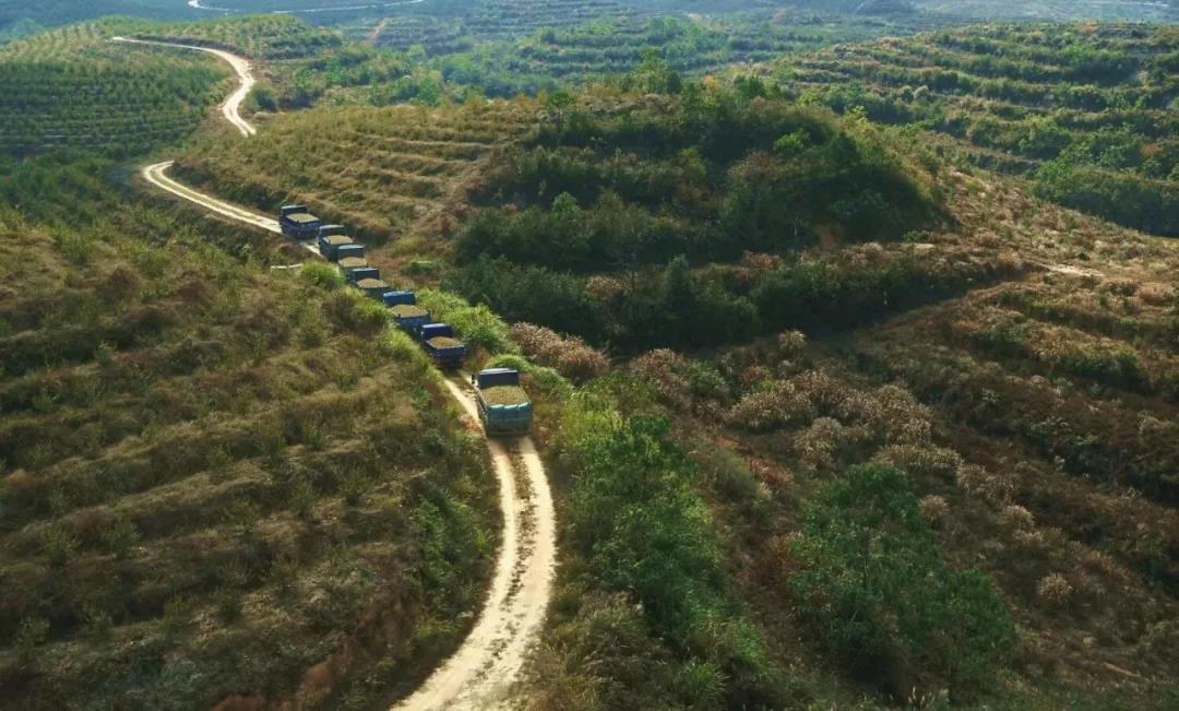 富硒茶 广告语（富硒茶广告词）-硒宝网