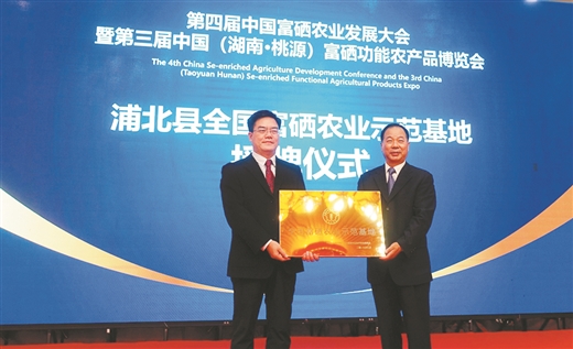 广西富硒黑米茶（富硒黑米茶多少钱）-硒宝网