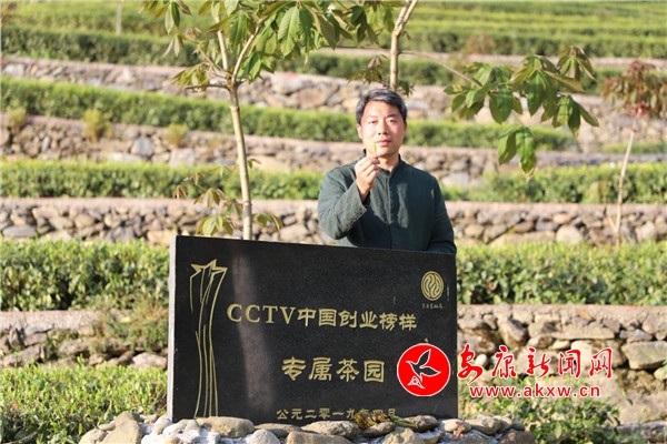 京康富硒茶价格(京康富硒茶怎么样)-硒宝网