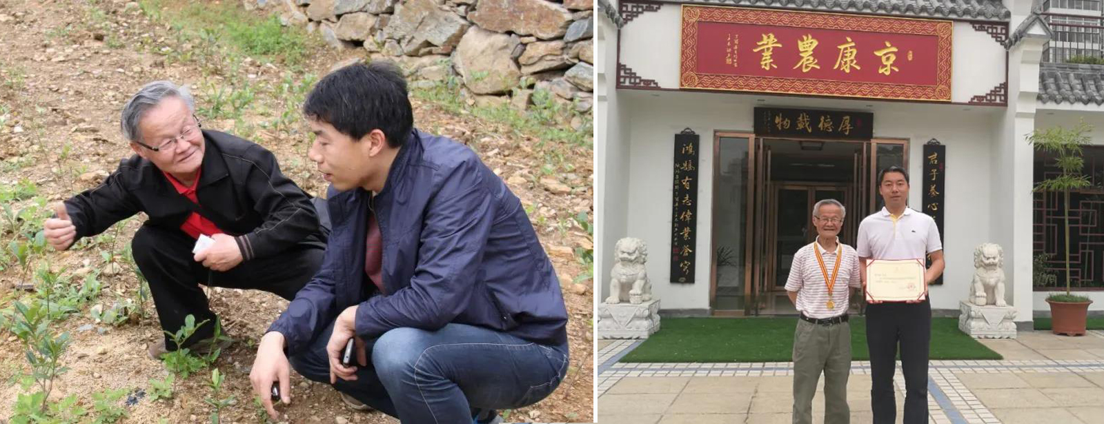 京康富硒茶价格（京康茶业）-硒宝网