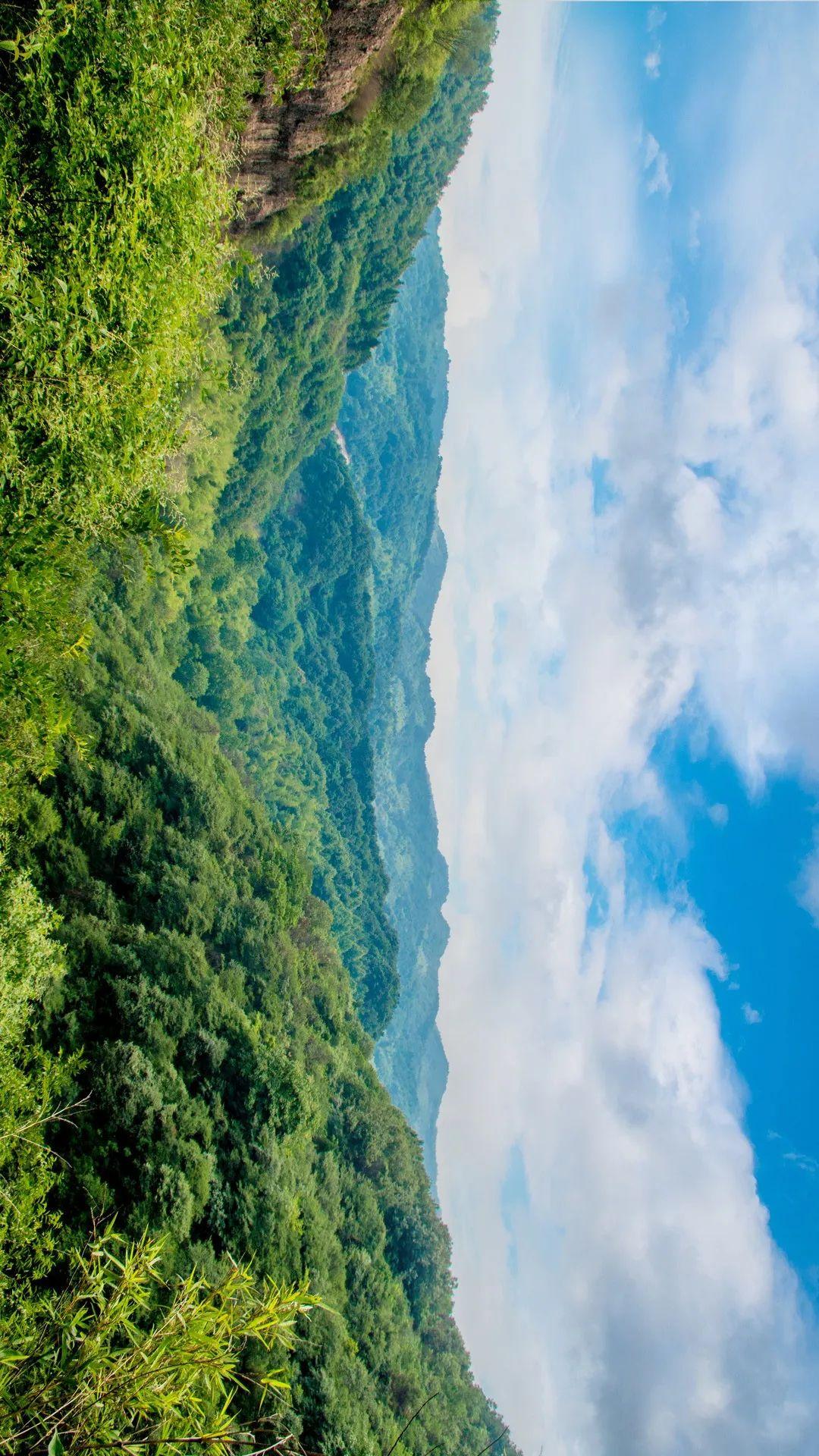 富硒茶定价标准(茶叶富硒标准)-硒宝网