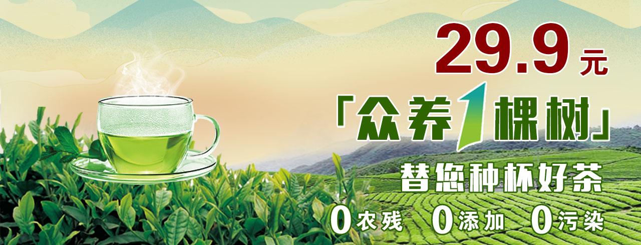 富硒茶定价标准(茶叶富硒标准)-硒宝网