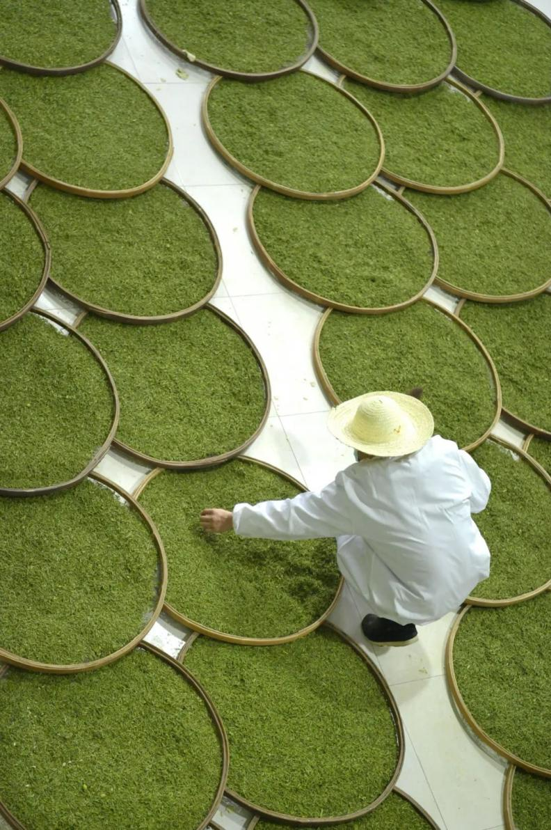 富硒茶定价标准(茶叶富硒标准)-硒宝网