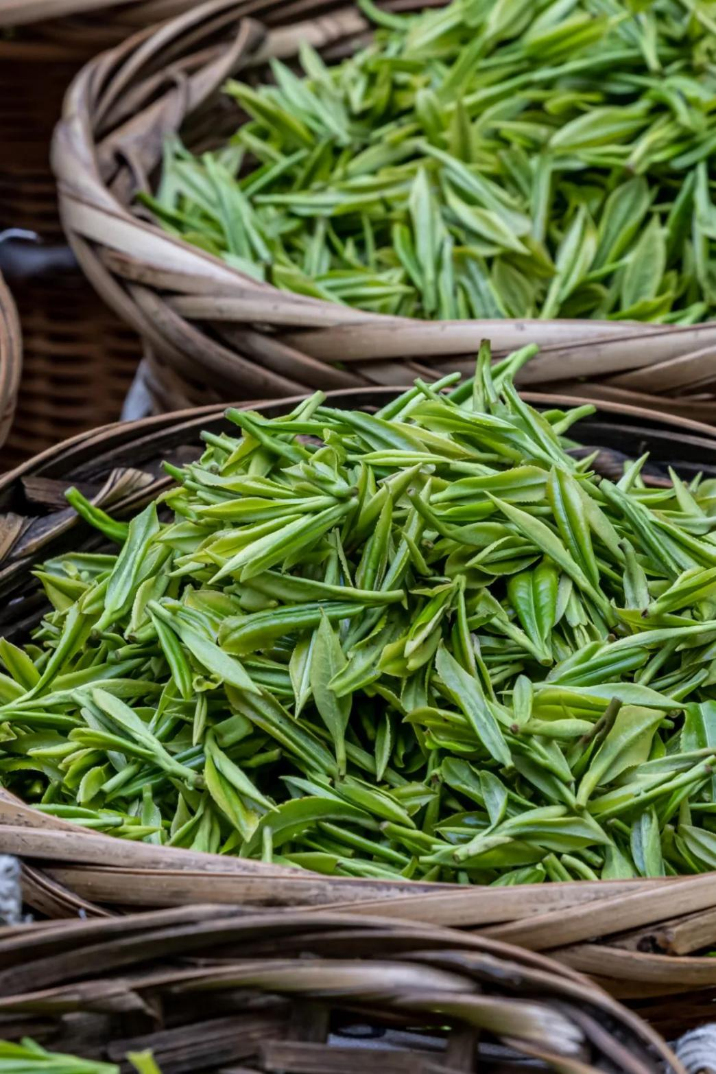 富硒茶定价标准(茶叶富硒标准)-硒宝网