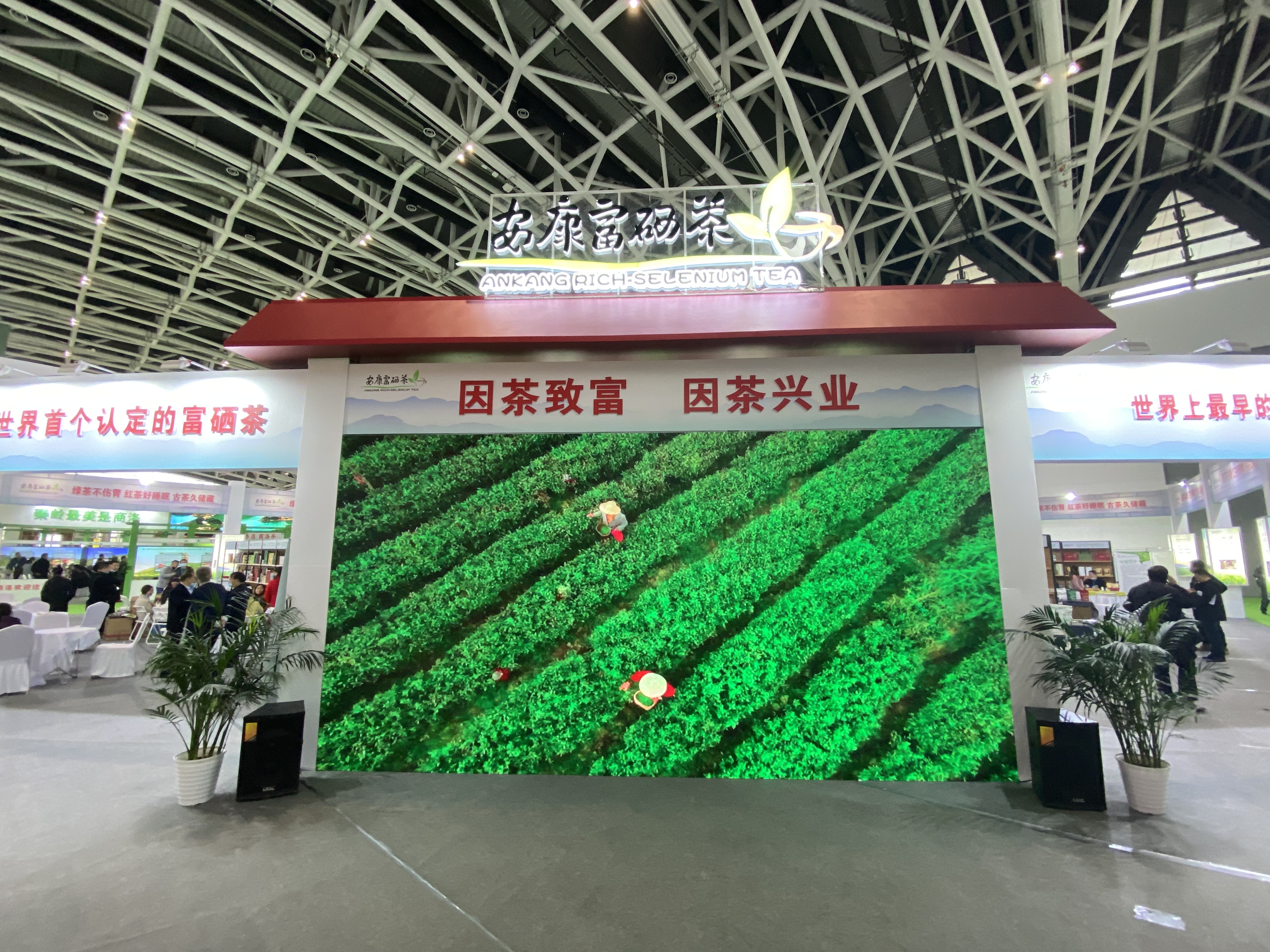 安康富硒苦的茶（安康富硒茶的功效与作用）-硒宝网