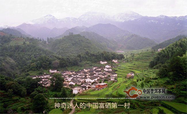 深圳富硒生茶饼（生态富硒茶）-硒宝网