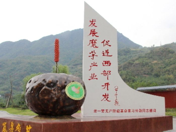 安康生态富硒茶(安康富硒茶多少钱一斤汗水晨雾)-硒宝网