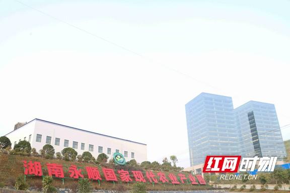 宋小年富硒藤茶(富硒藤茶骗局图片)-硒宝网